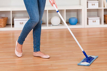 professional cleaning services
